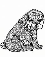 Volwassen Puppy Dieren Pudgy Zentangle Hondje 570xn sketch template