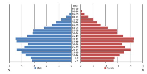 papp101 s03 how demographers think about populations age and sex
