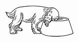 Cani Coloriage Stampare Hund Cagnolini Imprimer Chiens Futternapf Bojanke Psi Disegnare Cuccioli Crtež Gratis Pasa Zivotinje Printanje Bojanje Crtezi Stampa sketch template