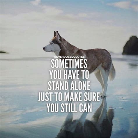 sometimes you have to stand alone just to make sure you