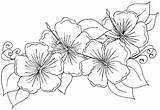 Coloring Flower Flowers Pages Printable Tropical Hibiscus Color Sheets Adults Marigold Exotic Hawaiian Adult Tattoo Drawing Getdrawings Tattoos Floral Print sketch template