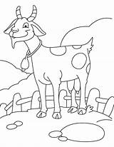 Goat Coloring Baby Pages Glad Kids Colorir Getcolorings Para Cute Template Escolha Pasta sketch template