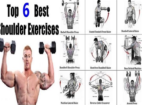 Top 6 Exercises To Build Shoulder Muscles ~