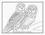 Barn Owls sketch template