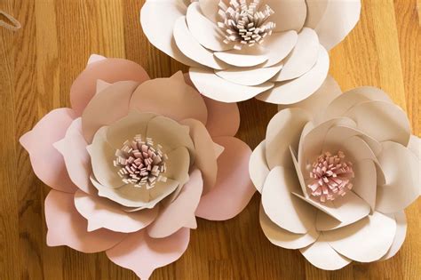 giant paper flowers  template giant paper flowers template big