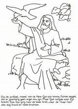 Bible Coloring Sunday School Sheepfold Sheep sketch template