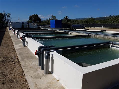 recirculating aquaculture system  ras aquaculture id