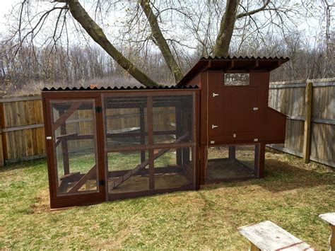 build  easy  clean backyard chicken coop part  simple suburban living cheap