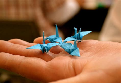 traditional japanese arts origami  kirigami  arts  paper