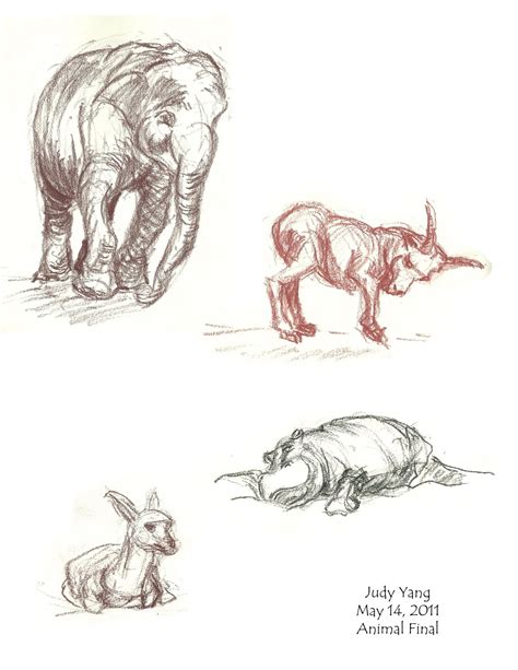 scribble scribble animal drawings