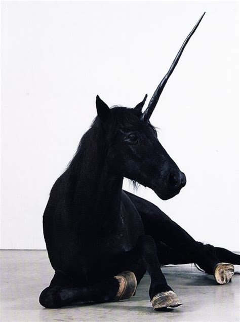66 best images about unicorns on pinterest
