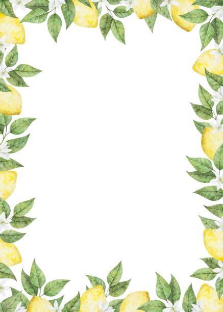 lemon border illustrations royalty  vector graphics clip art