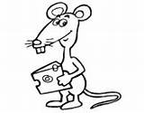 Coloring Rat Cheese Pages Coloringcrew Rats sketch template