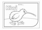 Waitangi Colouring Zealand Kiwi Bird Kids Activities Children Pages Coloring Maori Print National Symbol Fun Kiwiana Craft Visit Crafts Ichild sketch template