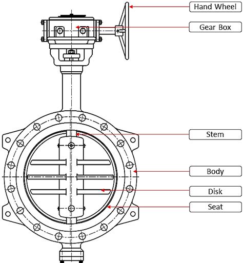 butterfly valve types wafer lug double offset  triple offset types