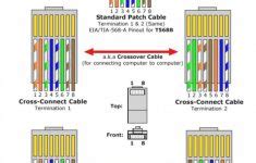 cat wiring order wiring diagram  cat  cable wiring diagram cadicians blog