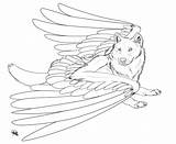 Wolf Winged Lineart Wolves sketch template