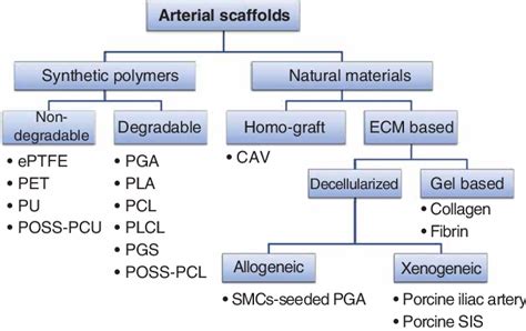 Classification Of Arterial Scaffolds Copyright Ó 2013 The