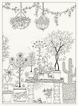 Garden Johanna Secret Coloring Basford Pages Postcards Colouring Gardens Amazon Adult sketch template