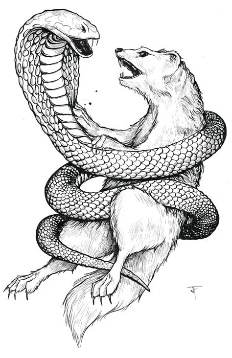 king cobra snake coloring pages clip art library