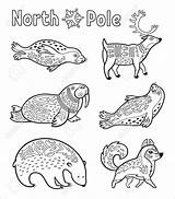 Arctic Coloring Animals Pages Animal Outline Coloringbay Getdrawings sketch template