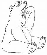 Colorat Ursuleti Ursi Urs Imagini Animale Planse Desene Ursulet Vizite Qbebe Voturi sketch template