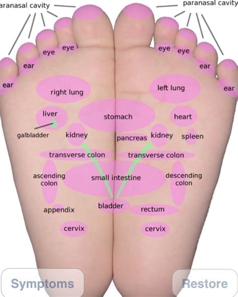 Foot Reflexology Lymphatic System Massage Reflexology Massage