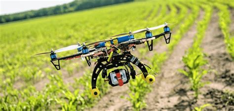 el rol de los drones en la agricultura sostenible infonucleocom