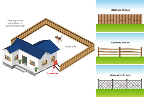 step  planning  installation extreme electric dog fence  diy kits