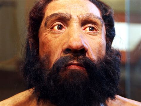 Neanderthals Responsible For Allergies Interviews Naked Scientists