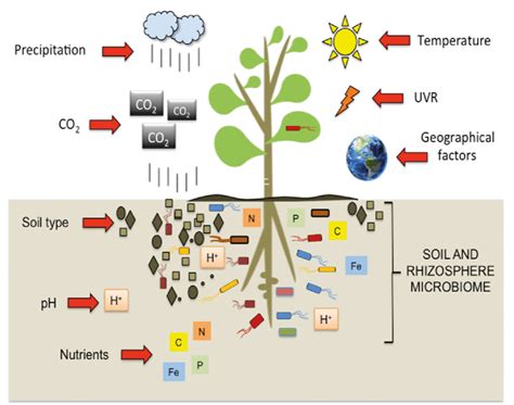 abiotic factors modulating  soil  rhizosphere microbiome