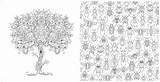 Forest Coloring Colouring Pages Choose Board Tree Garden sketch template