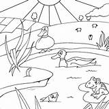 Pond Fish Drawing Colouring Ducks Getdrawings sketch template