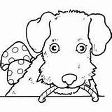 Puppy Surfnetkids Coloring Dog Animals sketch template