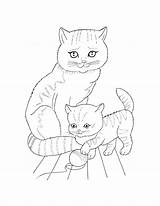 Coloring Pages Cat Kitten Cute Kids Cats Pet Supercoloring Colouring Mother Print Part Templates Animal Template sketch template