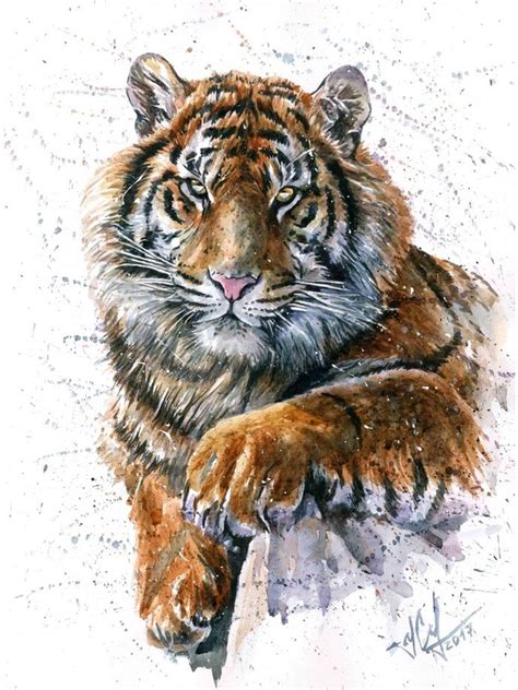 tiger watercolor  art print  konstantin kalinin inprnt