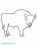 Buffalo Coloring Pages Color Printable sketch template