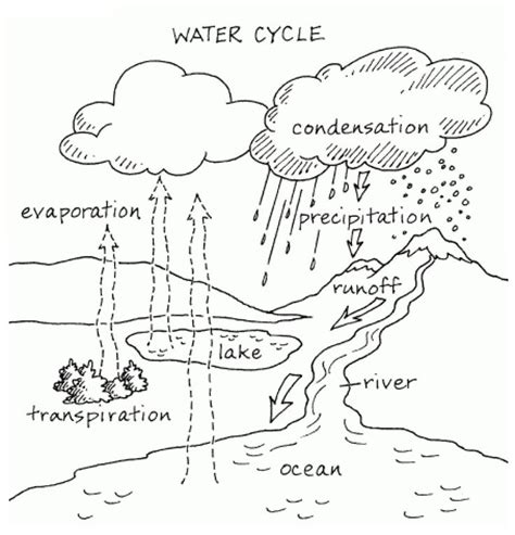 water cycle coloring page  pages  sketch coloring page