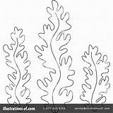 Seaweed Coloring Pages Sea Weed Clipart Algae Drawing Red Kelp Template Illustration Ocean Color Printable Birijus Awesome Alex Collection Print sketch template