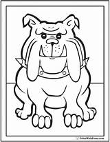 Bulldog Dane Colorwithfuzzy sketch template