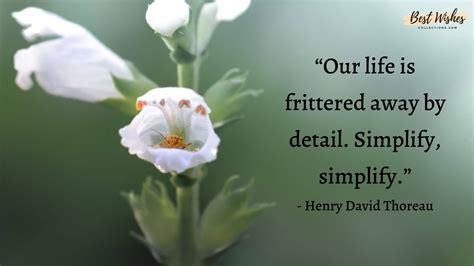 40 national simplicity day quotes and messages