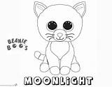 Beanie Coloring Boo Pages Cat Moonlight Printable Boos Cute Sheets Print Kids Getdrawings Template sketch template