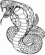 Cobra Coloring Slang Kleurplaat Schlangen Kleurplaten Schlange Ausmalbild Python Drucken 색칠 공부 Colorare Cartonionline Serpenti Snakes Copyright Färben sketch template