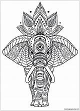 Mandala Pages Surging Animal Coloring Color sketch template