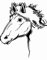 Horse Face Coloring Horses Printable sketch template