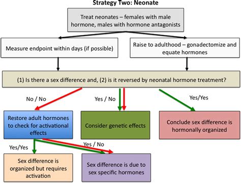 Sex Differences In The Brain The Not So Inconvenient