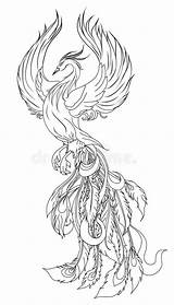 Feuervogel Malvorlage Phönix Zeichnung Dragen Phinx Malen Oiseau перейти Insbride Tatuering sketch template