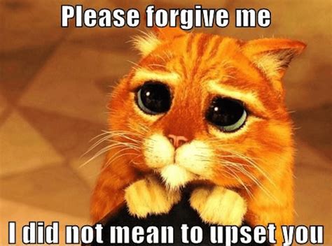 “please forgive me” the upside of guilt luvze
