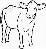 Cow Coloring Pages Printable Kids Outline Baby Calf Clipart Simple Animals Colouring Children Clip Cliparts Pencil Library Coloringbay Animal sketch template