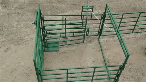 calving   panels   heifer calving  breeze